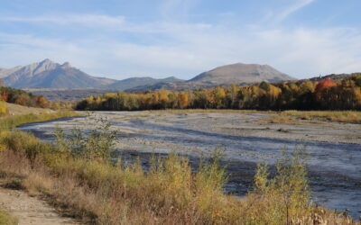 La Nature Restoration Law fa un passo avanti