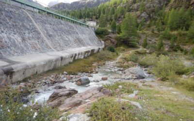 Rinnovo grandi concessioni idroelettriche in Lombardia: qualche segnale positivo, ma ancora troppo poco sulle compensazioni ambientali