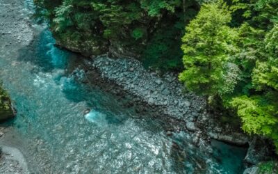 L’Italia a braccetto con l’Ungheria contro il ripristino della natura