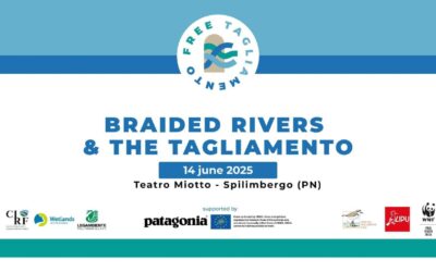 Online la registrazione del convegno “I fiumi a canali intrecciati e il Tagliamento”