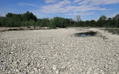 Bocciata dal Ministero la legge regionale piemontese sul deflusso ecologico